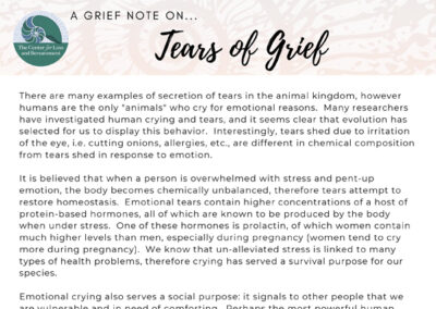 Grief Note: Tears of Grief